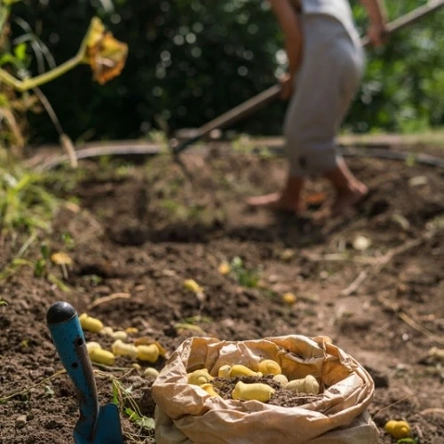 Grapat Houten Tulp 36 St (Mandala Tulip) - Afbeelding 2