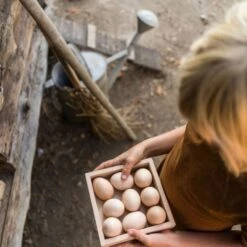 Grapat Opberg Doos (Storage Box)