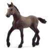 Schleich Horse Club - Peruviaans Pasoveulen