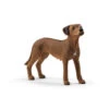 Schleich Schleich Farm World - Rhodesian Ridgeback